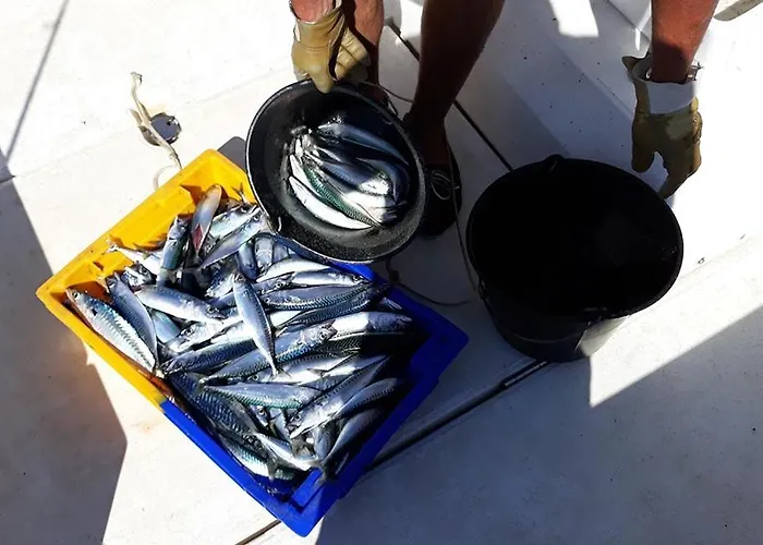 Mobil Climatise Avec Terrasse Dans L'escale, Calme, A 20 Mn A Pied De La *