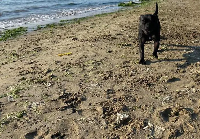Mobil Climatise Avec Terrasse Dans L'escale, Calme, A 20 Mn A Pied De La