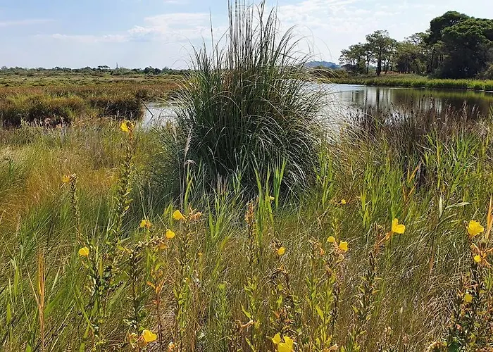 Mobil Climatise Avec Terrasse Dans L'escale, Calme, A 20 Mn A Pied De La Кемпинг *