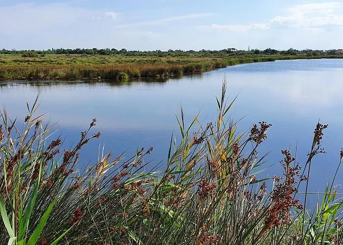 Mobil Climatise Avec Terrasse Dans L'escale, Calme, A 20 Mn A Pied De La Кемпинг Агд